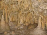 Albums/20060200-New Zealand 2006/20060318-Kaikiura/78